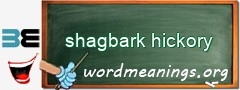 WordMeaning blackboard for shagbark hickory